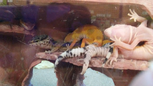 Pet Supply Store «Petco Animal Supplies», reviews and photos, 545 W Prien Lake Rd, Lake Charles, LA 70601, USA