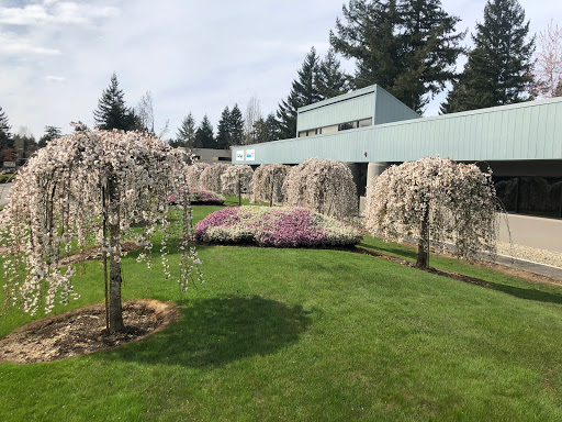 Pharmacy «Key Compounding Pharmacy», reviews and photos, 530 S 336th St, Federal Way, WA 98003, USA