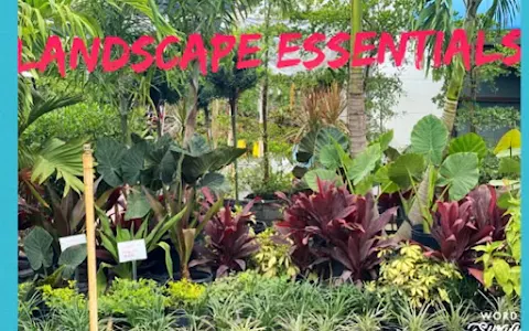 Sunscape Nursery, Inc. image