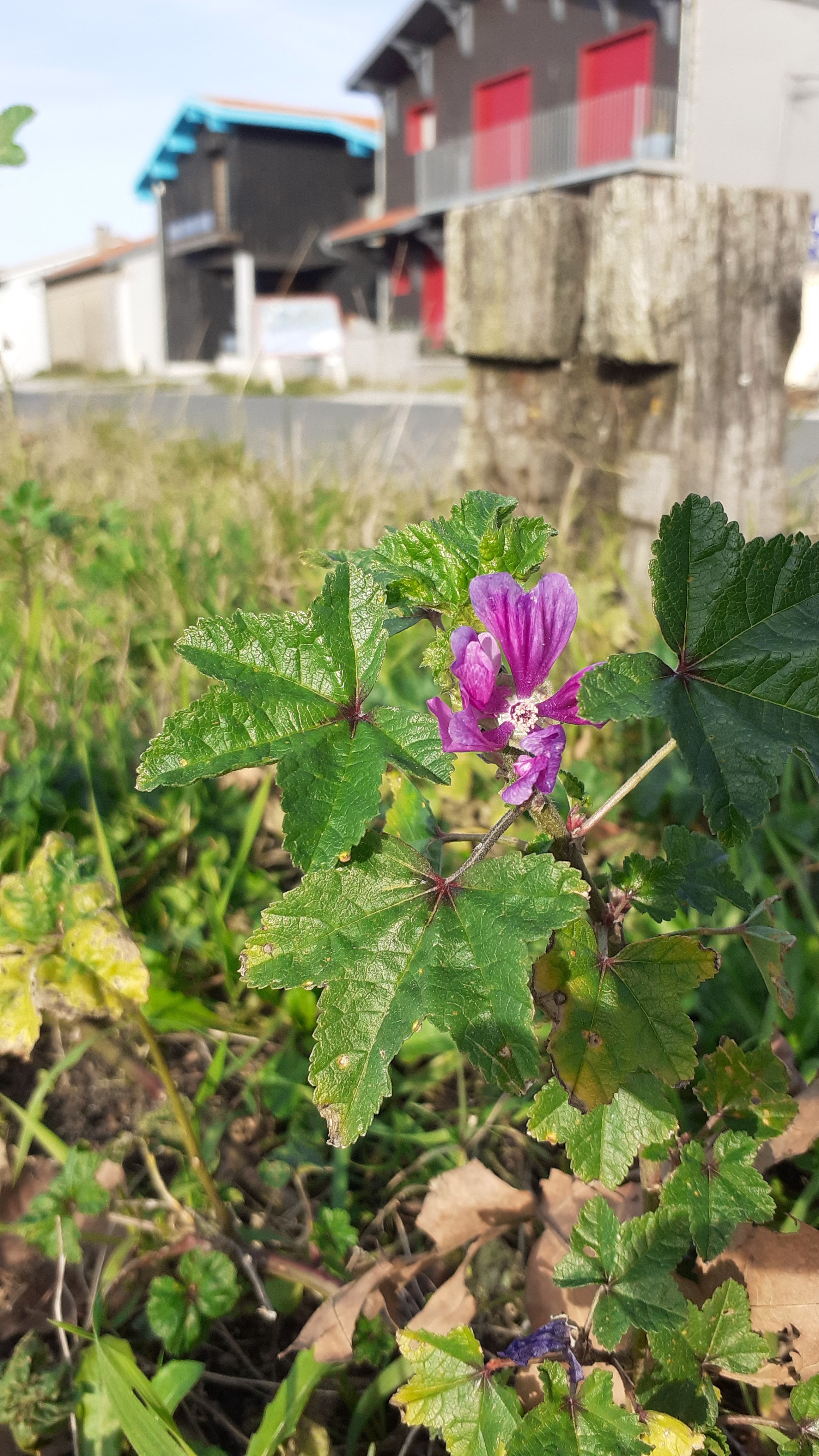 Photo n° 14 de l'avis de Doume. fait le 27/10/2023 à 14:41