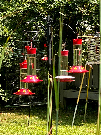 Tourist Information Center «Woodlands Nature Station», reviews and photos, 3146 Silver Trail Rd, Cadiz, KY 42211, USA