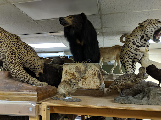 Museum «Delaware Museum of Natural History», reviews and photos, 4840 Kennett Pike, Wilmington, DE 19807, USA