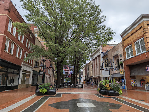 Downtown mall, E Main St, Charlottesville, VA 22902, USA, 