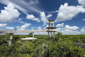 Shark Valley Observation Tower image