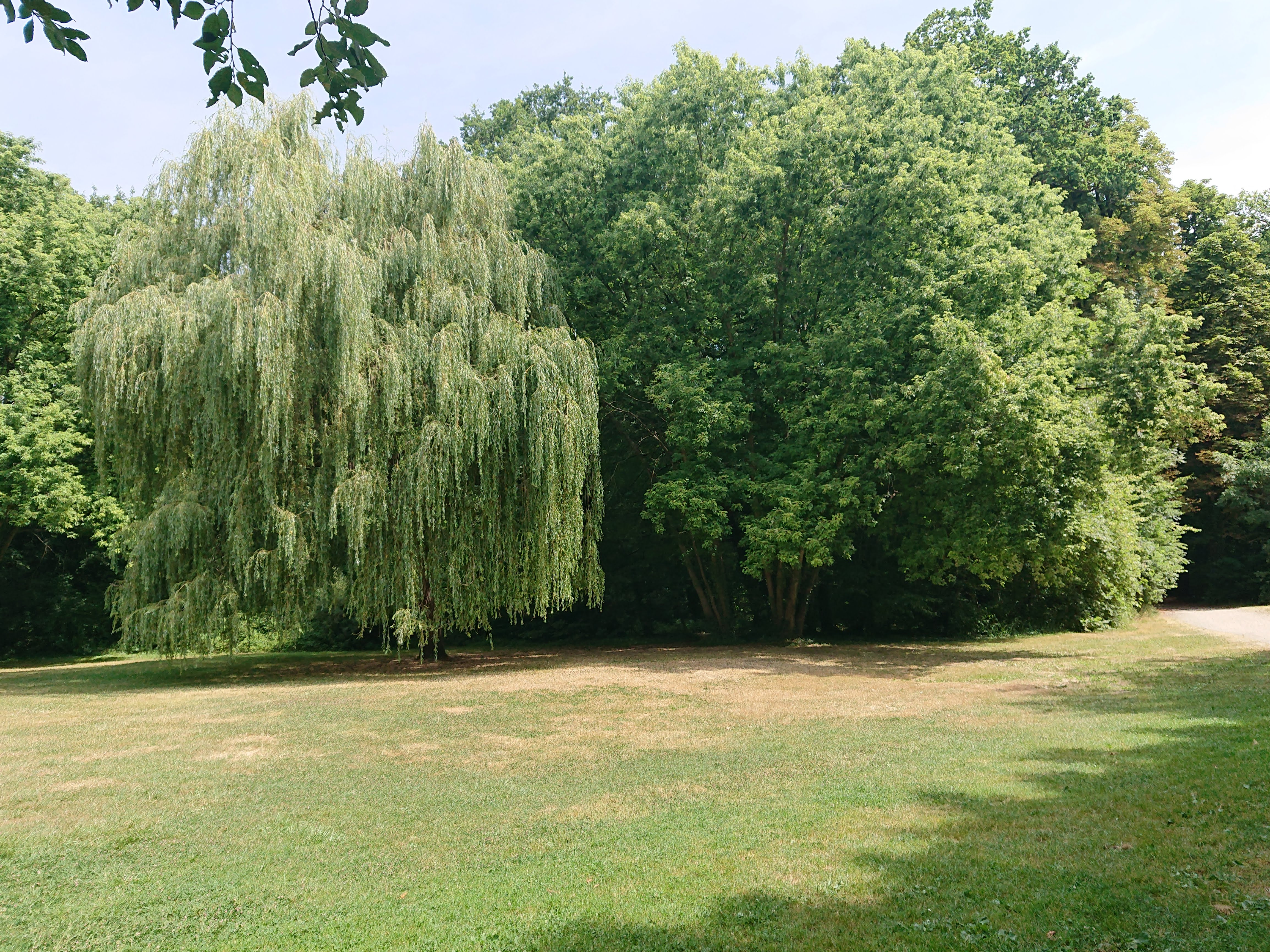 Photo n° 9 de l'avis de Arnaud.a fait le 20/07/2019 à 22:14