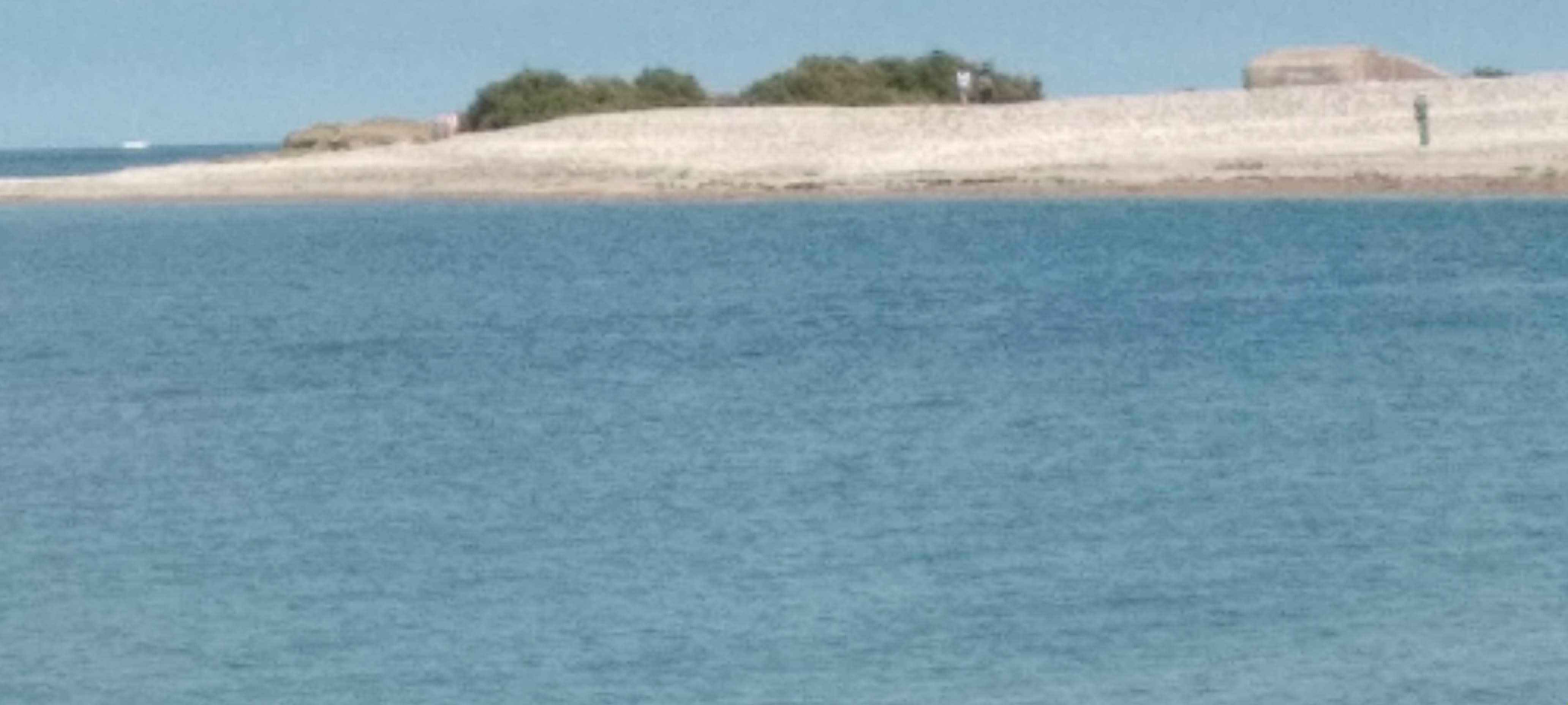 Photo n° 3 de l'avis de Clo. fait le 13/09/2021 à 16:16