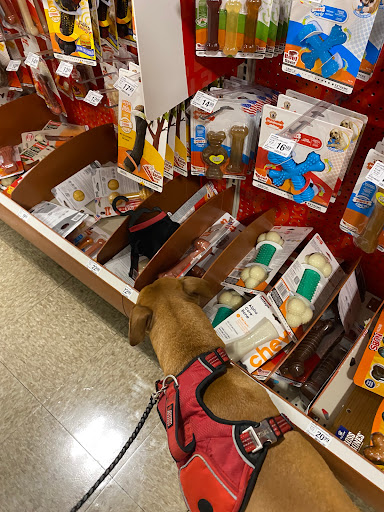 Pet Supply Store «PetSmart», reviews and photos, 2818 S Louise Ave, Sioux Falls, SD 57106, USA