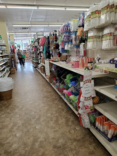 Dollar Store «Dollar Tree», reviews and photos, 217 Glen St, Glen Cove, NY 11542, USA