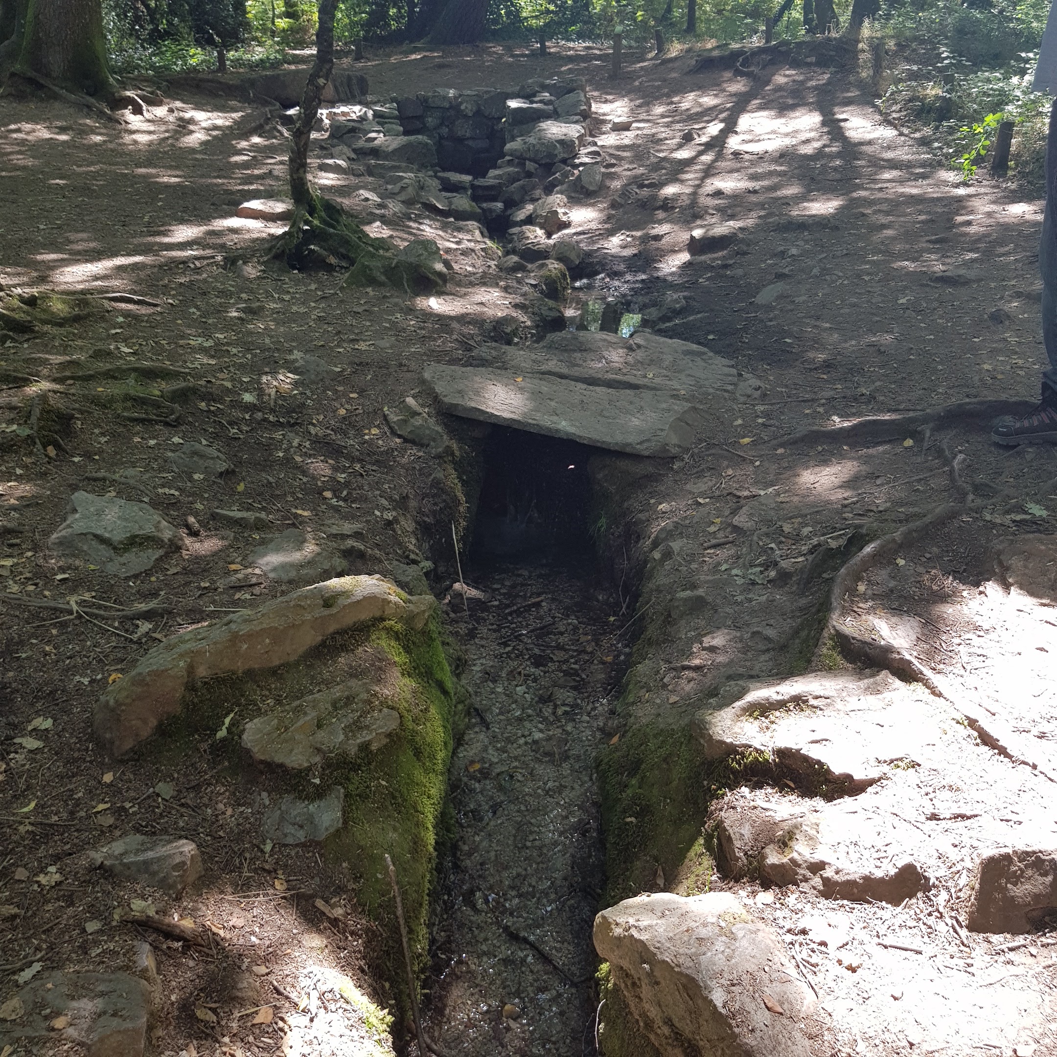 Photo n° 1 de l'avis de Laurence.e fait le 14/07/2020 à 10:28