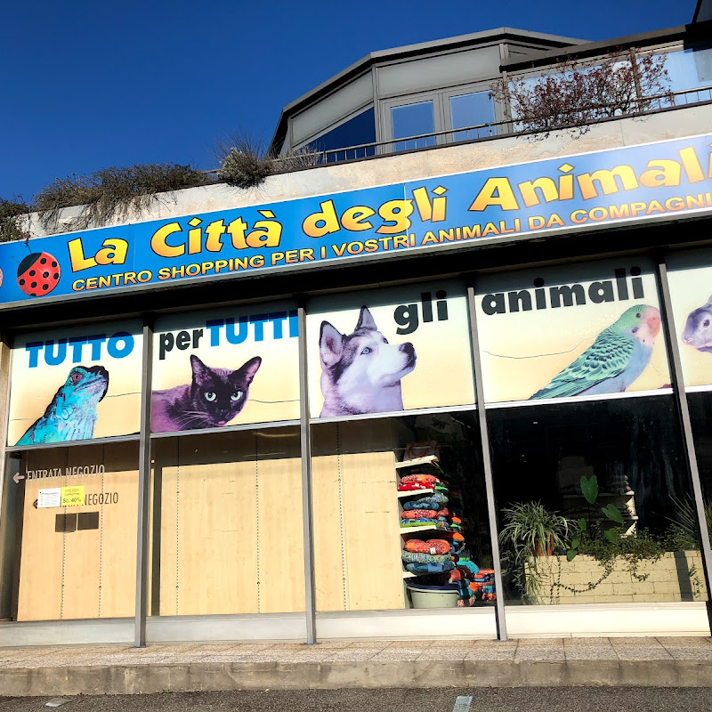 THE CITY 'OF ANIMALS Ltd.