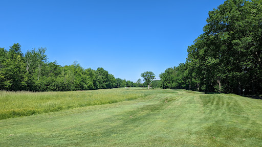 Golf Course «Pheasant Run Golf Club», reviews and photos, 46500 Summit Pkwy, Canton, MI 48188, USA