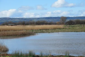 RSPB Burton Mere Wetlands image