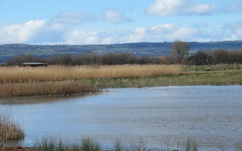 RSPB Burton Mere Wetlands image