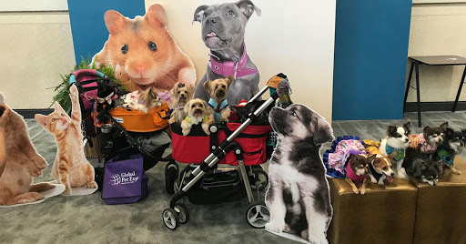 Pet Supply Store «The Natural Pet Outlet», reviews and photos, 3380 Fairfield Ave, Bridgeport, CT 06605, USA