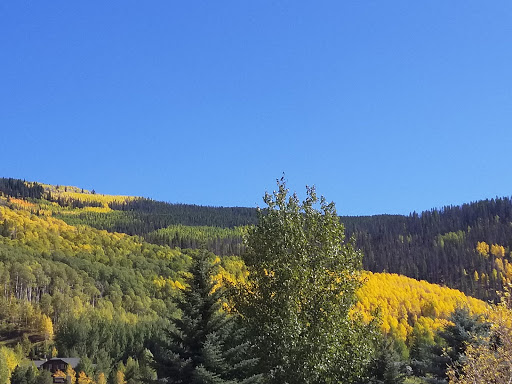 Grocery Store «City Market», reviews and photos, 2109 N Frontage Rd W, Vail, CO 81657, USA