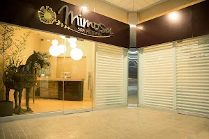 Mimosa Spa Retreat image