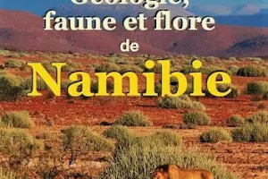 Géologie, faune et flore de Namibie image