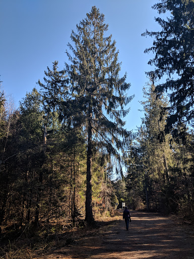 Park «Goodwill Park», reviews and photos, 416 Green St, Holliston, MA 02540, USA