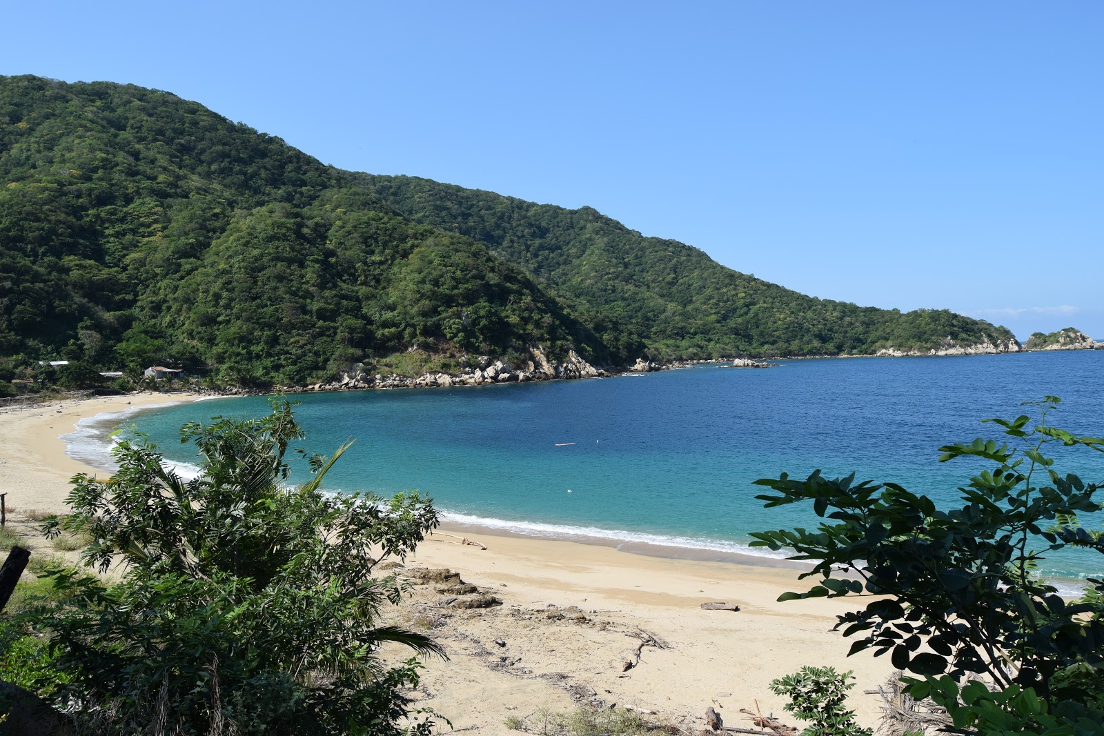 Corrales beach'in fotoğrafı çok temiz temizlik seviyesi ile