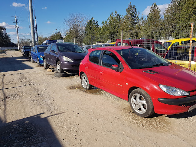 Bogio Cars Dezmembrari Peugeot Citroen - <nil>