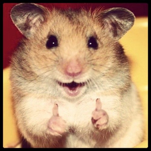 Real Estate Agency «Coldwell Banker Haynes Real Estate Monroe», reviews and photos, 15489 S Telegraph Rd STE A, Monroe, MI 48161, USA