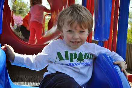 Alpine Montessori of Millburn