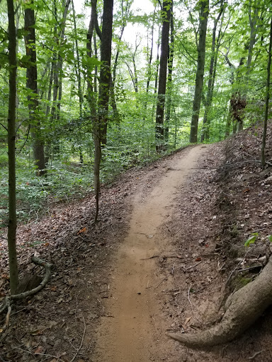 Bacon Ridge Natural Area (Hawkins Trailhead)
