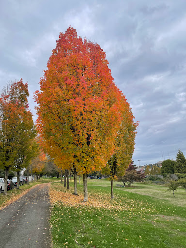 Park «Daejeon Park», reviews and photos, 1144 Sturgus Ave S, Seattle, WA 98144, USA