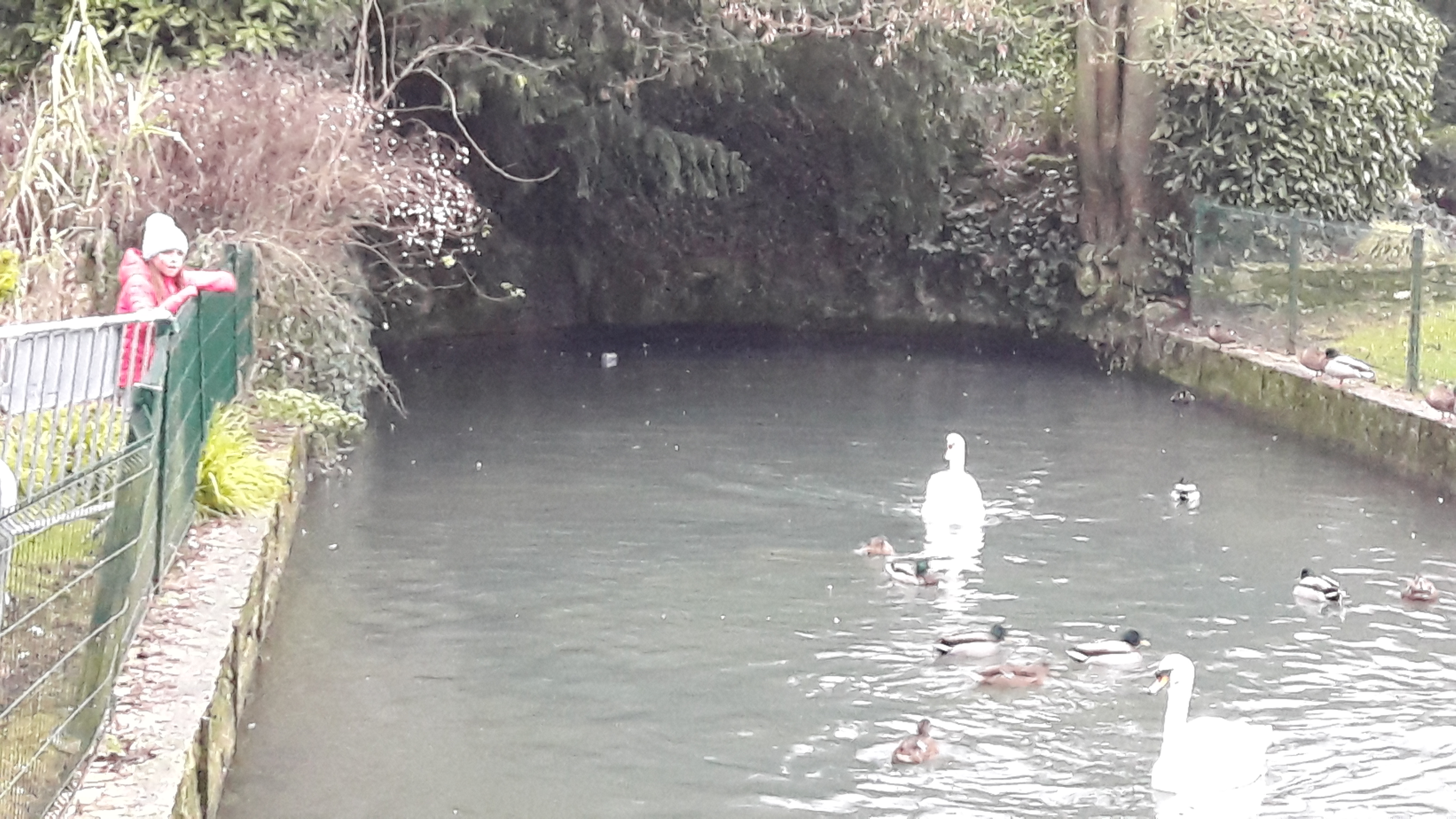 Photo n° 3 de l'avis de Carole.i fait le 29/12/2018 à 16:55