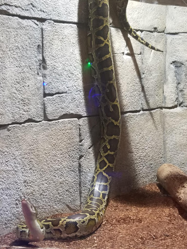 Aquarium «SeaQuest Interactive Aquarium Las Vegas», reviews and photos, 3528 S Maryland Pkwy #340, Las Vegas, NV 89169, USA