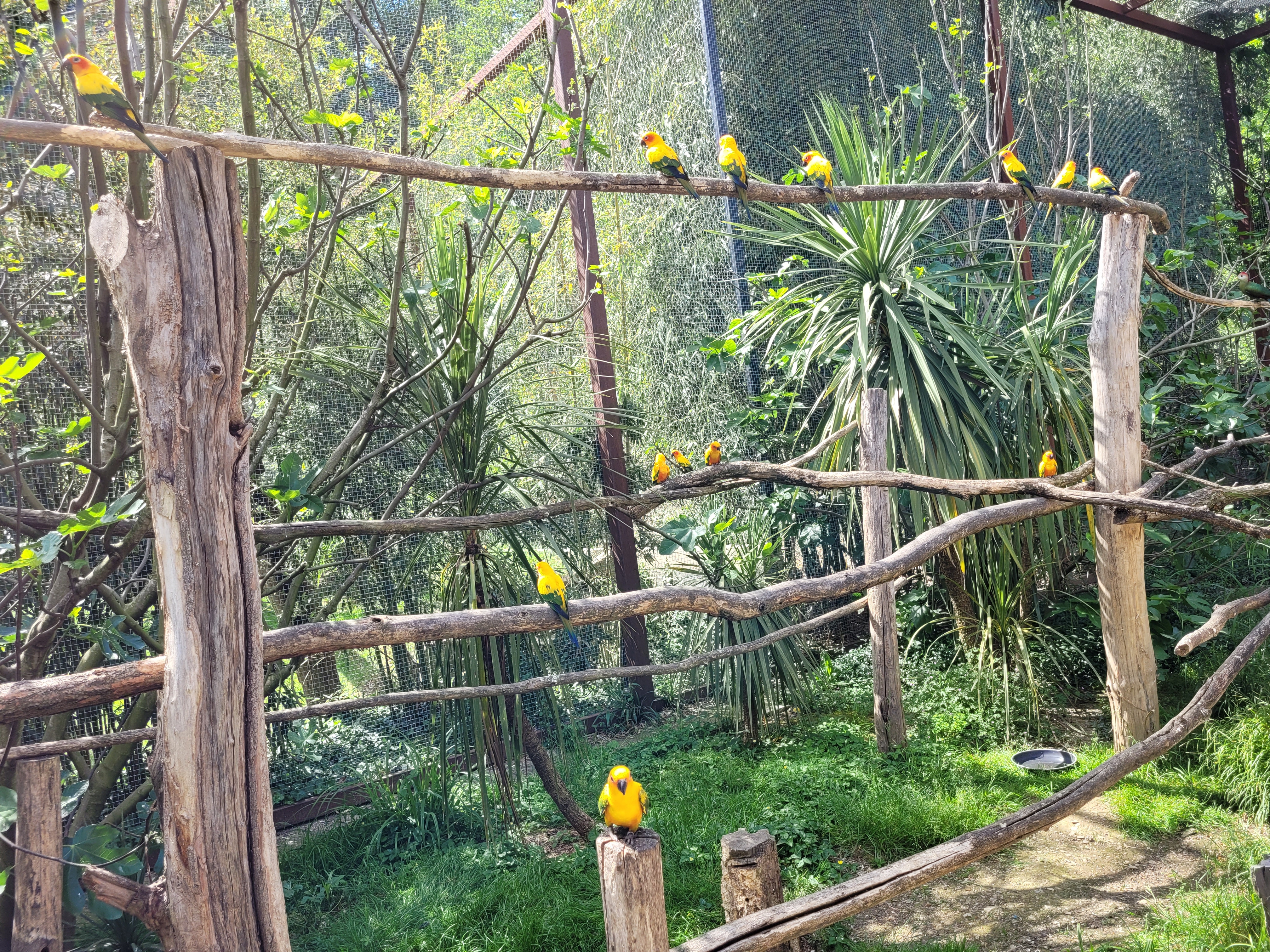 Photo n° 12 de l'avis de florian.a fait le 22/05/2022 à 17:27