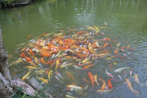 Wanawadula Fish Park image
