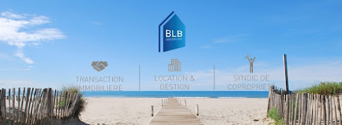 Agence immobilière BLB Immobilier-TEMIC : Transaction, Syndic, Gestion, Location Vauvert