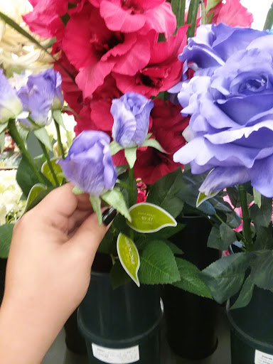 Craft Store «Hobby Lobby», reviews and photos, 3219 Watermill Dr, Burlington, NC 27215, USA