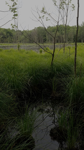 Tourist Attraction «Monksville reservoir», reviews and photos, 111 Beech Rd, Hewitt, NJ 07421, USA