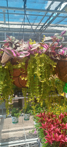 Home Improvement Store «The Home Depot», reviews and photos, 4829 US-90, Pace, FL 32571, USA