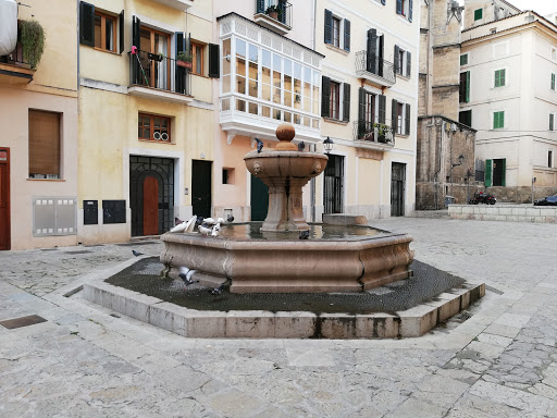 Càritas Diocesana de Mallorca