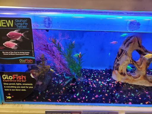 Pet Supply Store «PetSmart», reviews and photos, 315 Gellert Blvd, Daly City, CA 94015, USA