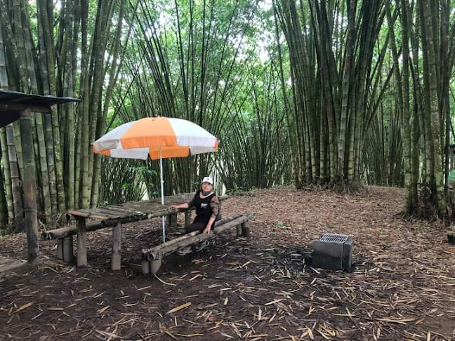 Comentarios y opiniones de Verde Bambu Eco Camping