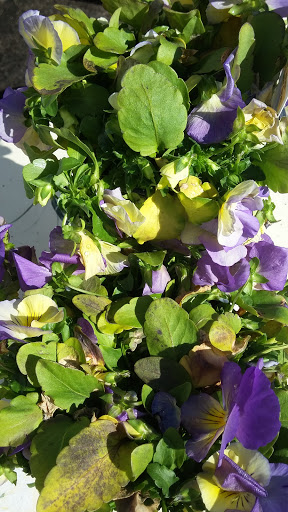 Book Store «Pipe & Thimble Bookstore», reviews and photos, 24830 Narbonne Ave, Lomita, CA 90717, USA