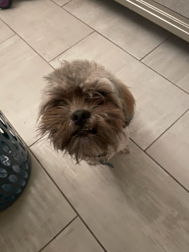 Pet Supply Store «Petco Animal Supplies», reviews and photos, 2823 County Home Rd, Goshen, IN 46526, USA