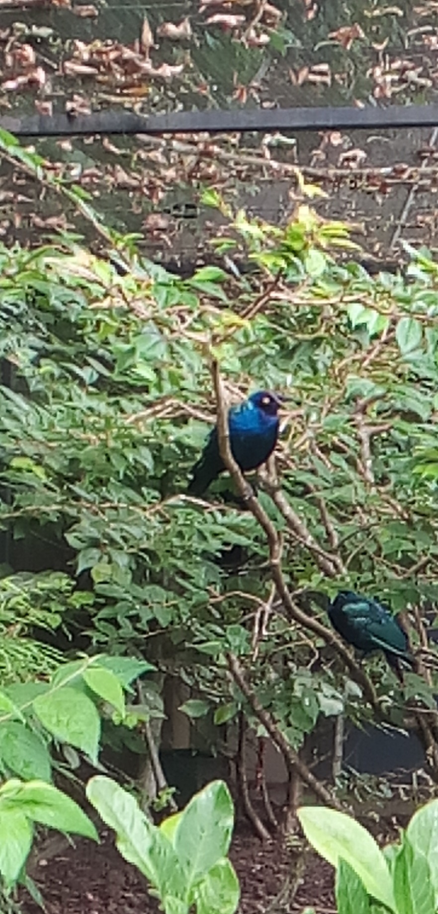 Photo n° 1 de l'avis de nicolas.r fait le 30/08/2021 à 09:39