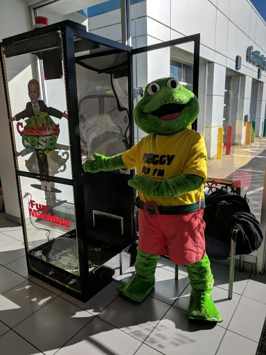 Party Equipment Rental Service «E.L.F. Entertainment», reviews and photos, 1007 Foggy Hollow Road, Gibsonia, PA 15044, USA