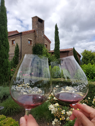 Winery «Alloro Vineyard», reviews and photos, 22075 SW Lebeau Rd, Sherwood, OR 97140, USA