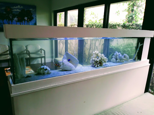 Tropical Fish Store «Top Hat Aquarium», reviews and photos, 18710 SW 107th Ave, Cutler Bay, FL 33157, USA