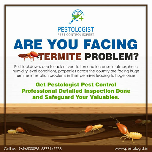 Pestologist Pest Control Expert