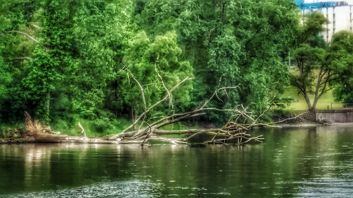 Park «North Hydro Park», reviews and photos, 2599 Bridge Rd, Ypsilanti, MI 48198, USA