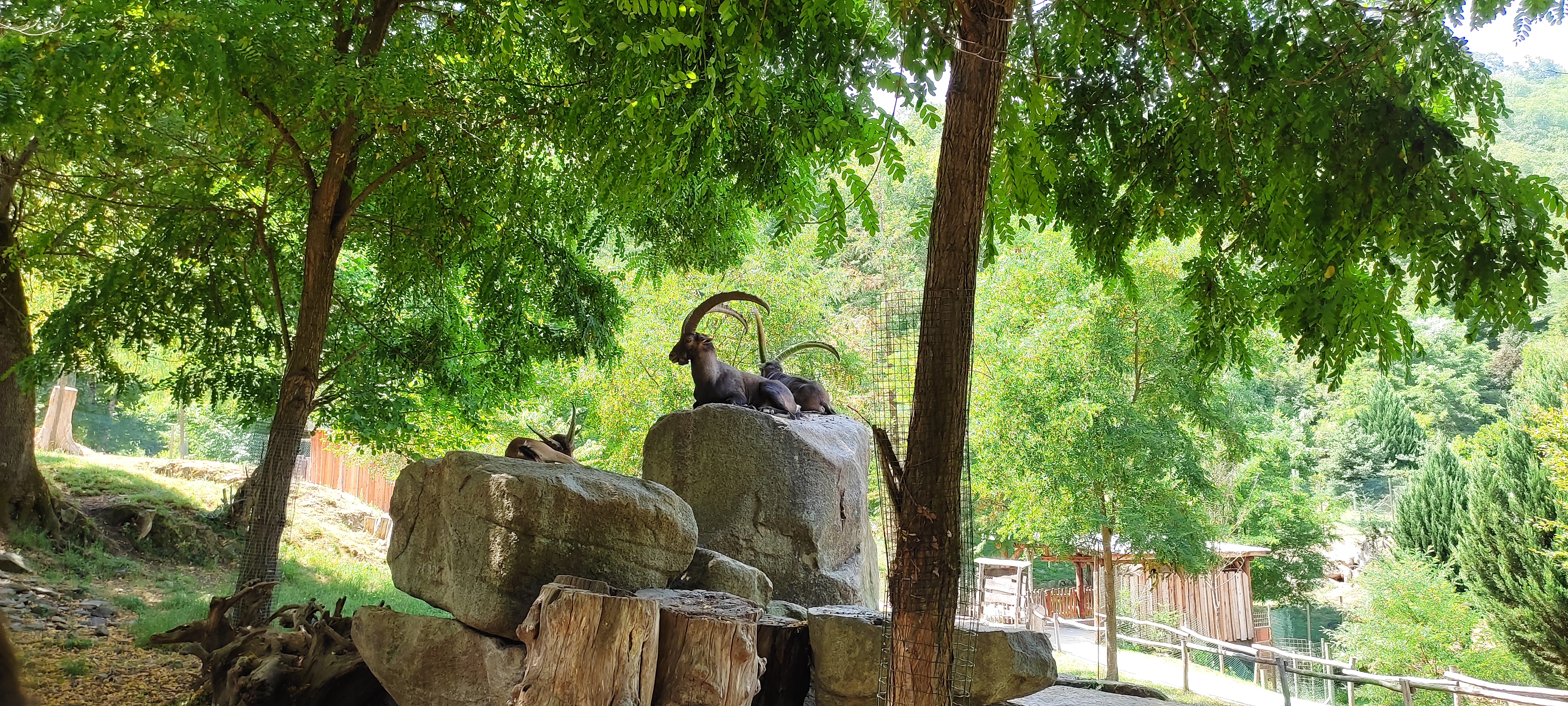 Photo n° 6 de l'avis de albane16.c fait le 16/07/2022 à 20:11