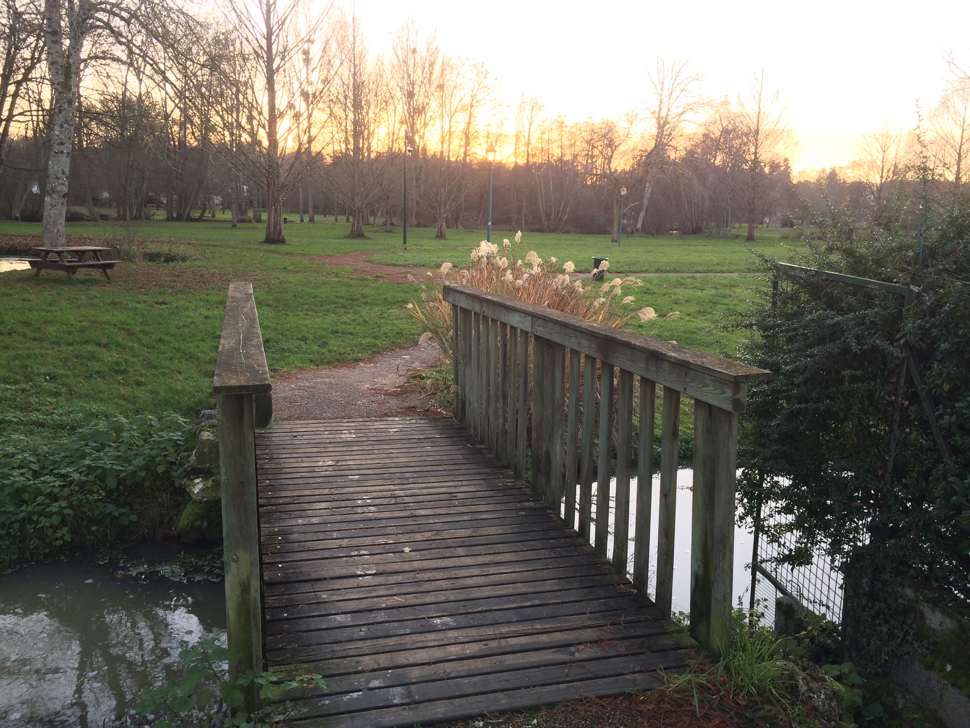 Photo n° 7 de l'avis de DMS. fait le 24/12/2019 à 14:44