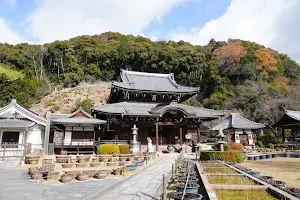 Hydrangea Garden of Mimurotoji Temple image